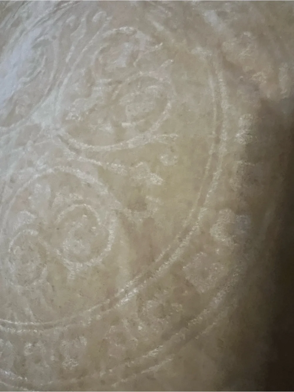 Springmaid Paisley Velvet Look Duvet Cover